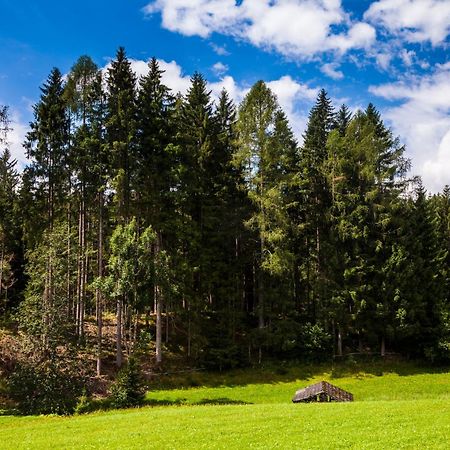 Biobauernhof Kleinummerstall Mittersill Buitenkant foto