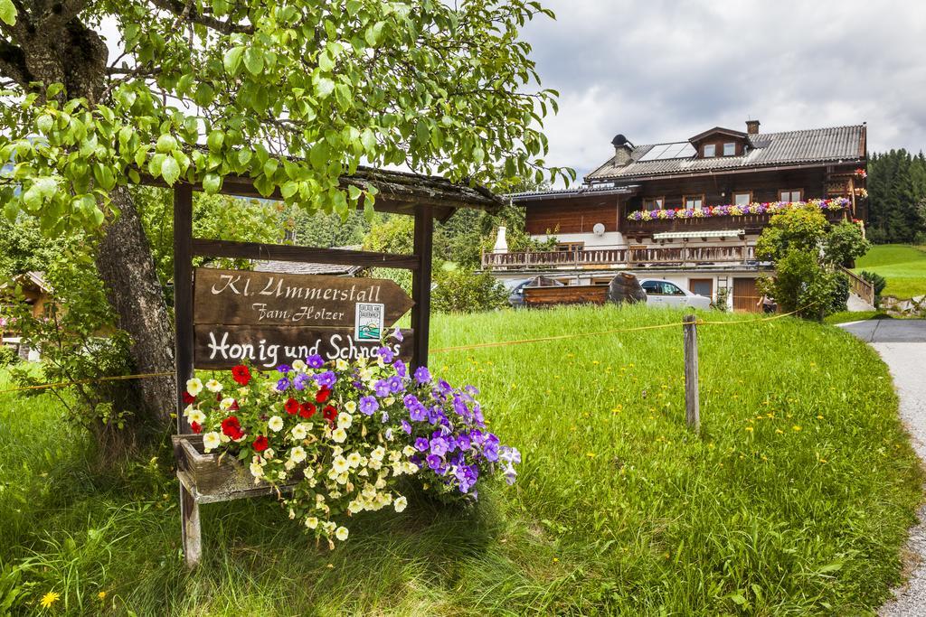 Biobauernhof Kleinummerstall Mittersill Buitenkant foto